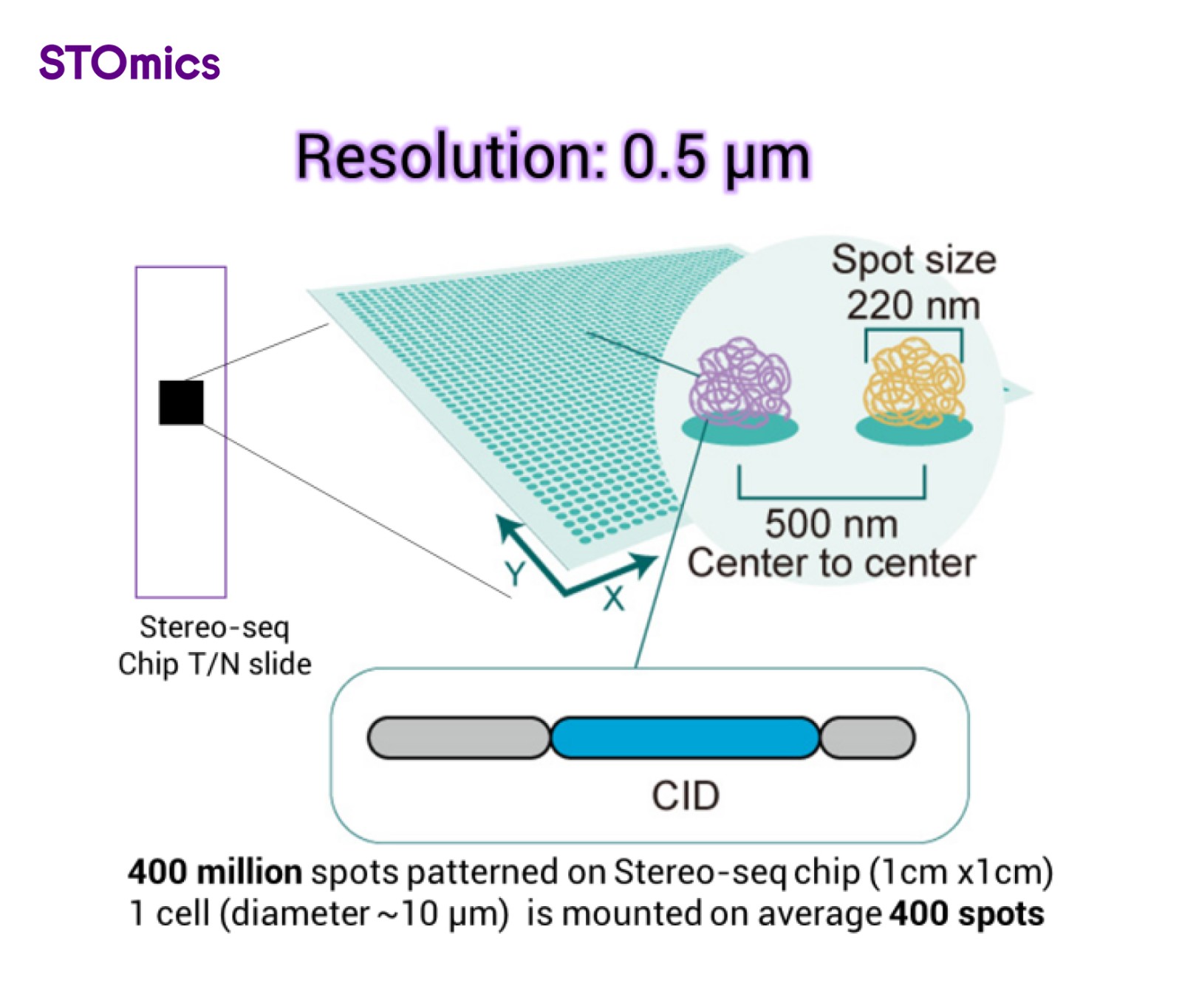 Stereo-seq chip